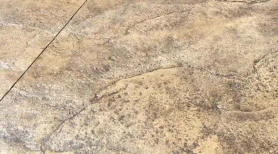 0326f19f-9edd-41e4-bd31-7397fa975bf7