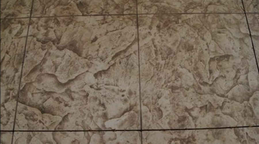 1b851a4a-c6e6-45aa-82b5-f2d45ac090d0