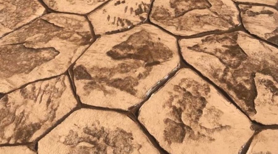 8a05d39f-eabf-4054-b36f-7118023f05f8