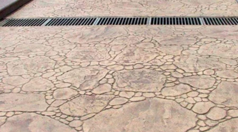 WhatsApp Image 2023-02-08 at 10.09.59 (6)