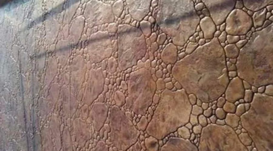 WhatsApp Image 2023-02-08 at 10.10.00 (5)