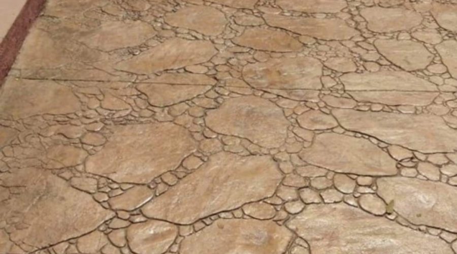 WhatsApp Image 2023-02-08 at 10.10.01 (2)