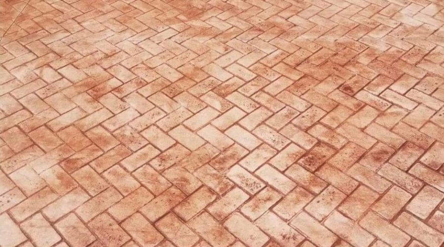 WhatsApp Image 2023-02-08 at 10.10.02 (1)