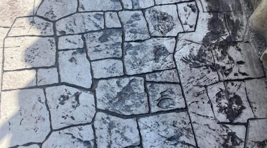 WhatsApp Image 2023-02-08 at 10.10.02 (5)