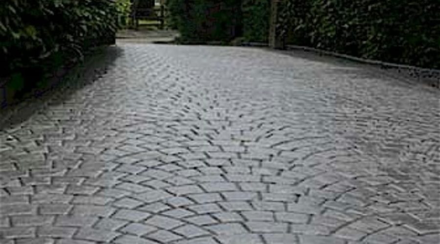 WhatsApp Image 2023-02-11 at 15.36.03 (7)