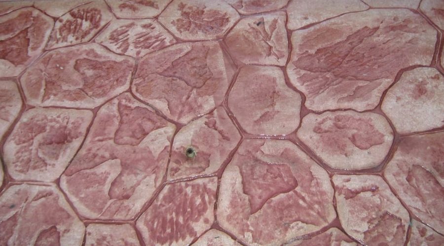 WhatsApp Image 2023-02-11 at 15.56.57